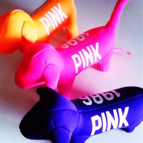 My Victorias Secret Dogs 💙 Vs Pink Dog Pink Love Pink Dog
