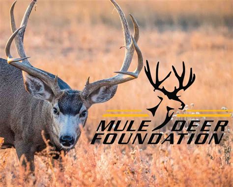 Assessing Our Impact Mule Deer Foundation