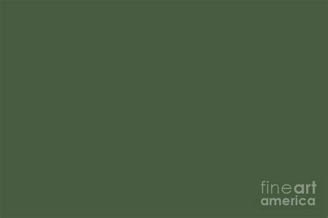 Dark Pine Forest Green Solid Color Pairs To Farrow And Ball 2020 Color