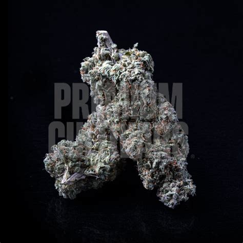 Buy Cookies And Cream Strain Seeds Online Premium Cultivars