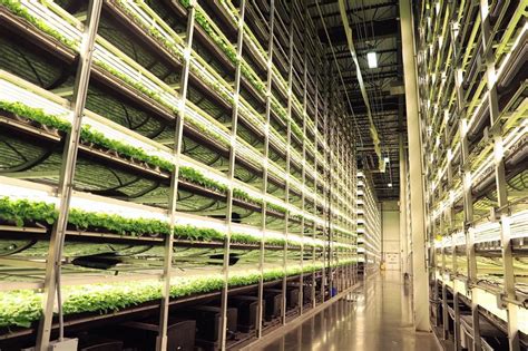 【connect 糧食 To The Future】aerofarms 打造科技垂直農場，將單位面積產量提升 390 倍