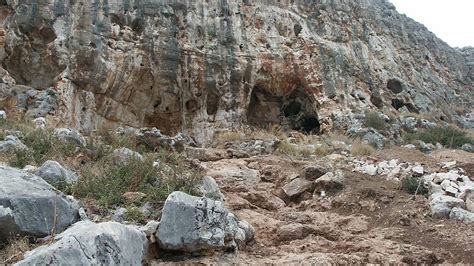 Oldest Known Human Fossil Outside Africa Discovered In Israel Cgtn