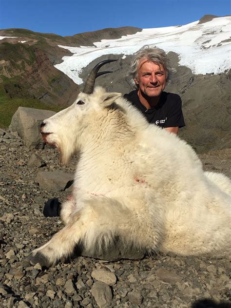 5 Day Mountain Goat Hunt For One Hunter In Alaska Includes Trophy Fee