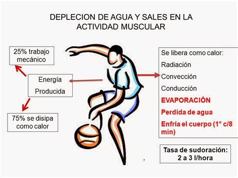 Calor Y Ejercicio FÍsico Quiero Ir Al Monte