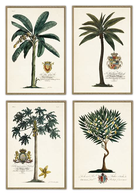 Palm Print Set Of 4 Vintage Botanical Illustration Wall Etsy