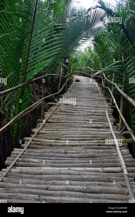 Bamboo Bridge Stock Photo Alamy