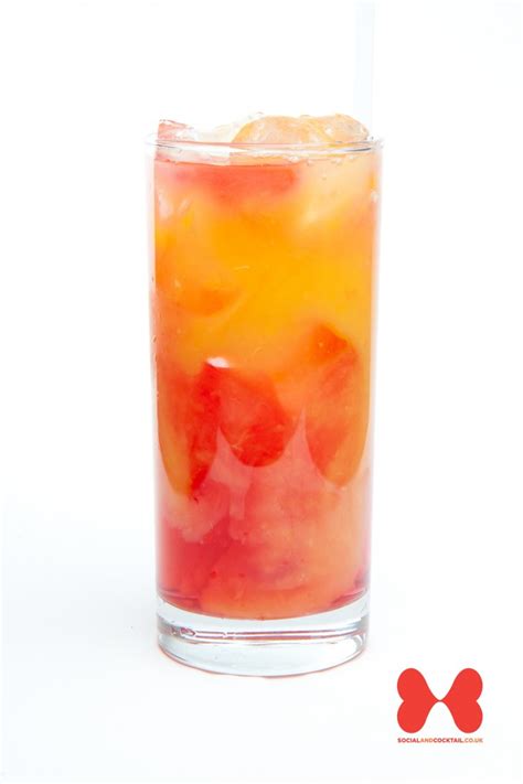 Sex On The Beach Cocktail Recipes Peach Schnapps Vodka Cocktails