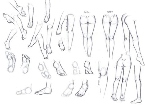 Tutorial Feet N Legs By Nemi09 On Deviantart Via Ref