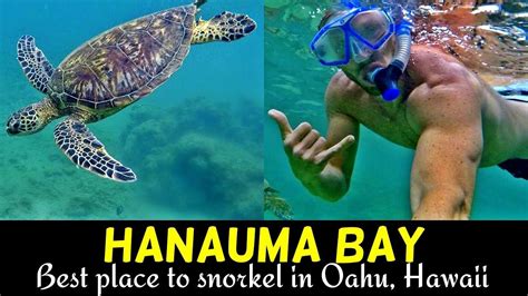 Hanauma Bay Snorkeling Best Place To Snorkel In Hawaii Snorkeling