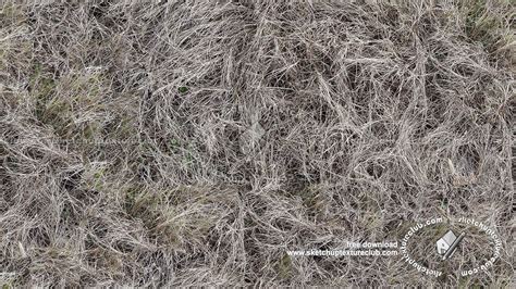 Dry Grass Texture Seamless 18653