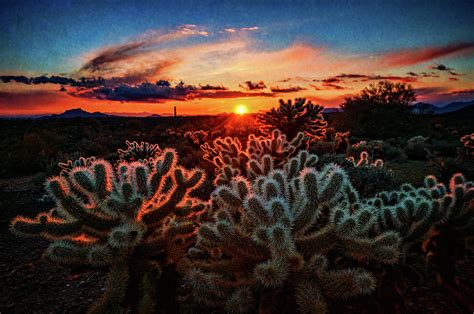 Desert Sunset 2 Photograph By Saija Lehtonen Fine Art America