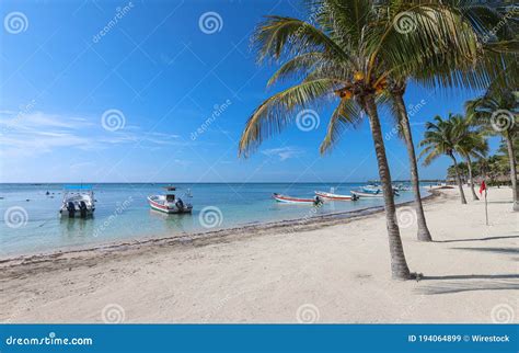 Akumal Beach Paradise Bay Beach In Quintana Roo Mexico Caribbean Coast Editorial Photo