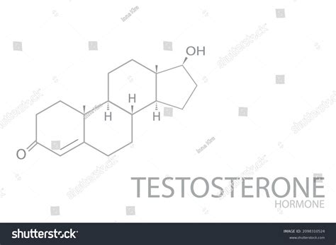 Testosterone Molecular Skeletal Chemical Formula Stock Vector Royalty Free 2098310524