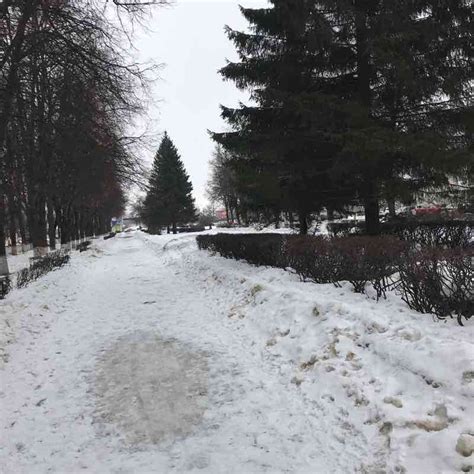 Reference Walk Trail Novomoskovsk Tula Oblast Russia Pacer