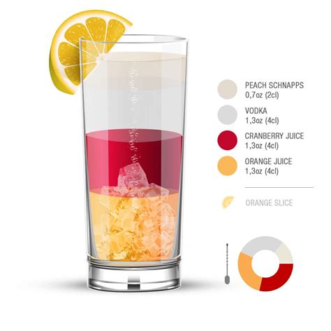 50 Cocktails Recipes And Infographics Alcoholic Drinks Sex On The Beach Recipe Cocktail