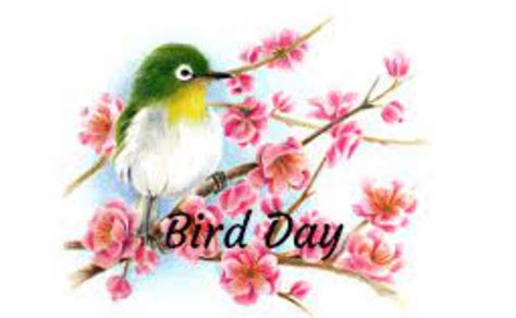 Bird Day 2022 Wishes Images Quotes Greetings Pic