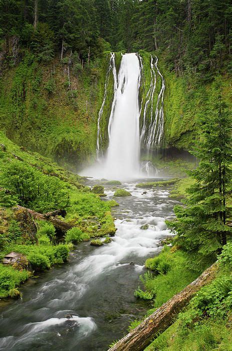 Lemolo Falls By Greg Nyquist Oregon Waterfalls Waterfall Places To