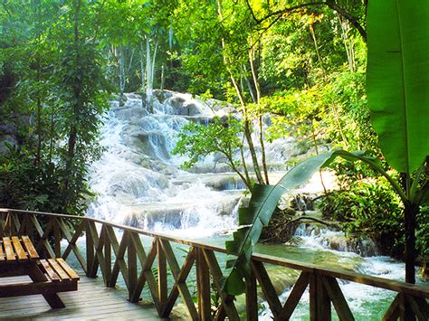 Blue Hole Secrets Falls And Dunns River Falls From Grand Palladium
