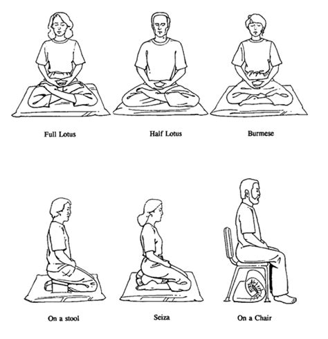 Asana Posición Del Cuerpo Físico Meditation Posture Meditation