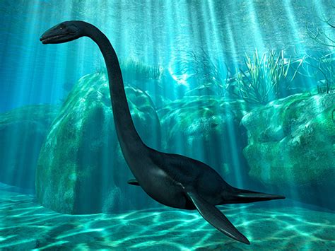 Pic Loch Ness Monster New Photo Shows Nessie Playing In