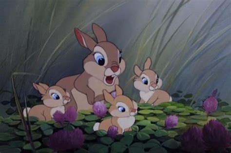 Bambis Parents Thumpers Mother And Friend Owl Bambi Disney Cute