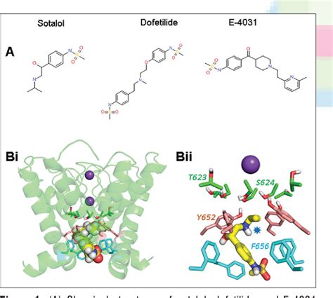 Figure 1 From The Basis For Low Affinity HERG Potassium Channel Block