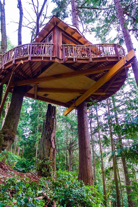 As the seasons change, the tree continues to grow. #treehousefriday: Sky Pirate Hideout — Nelson Treehouse