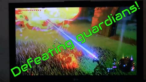 How To Defeat And Evade Decayed Guardians Botw Youtube