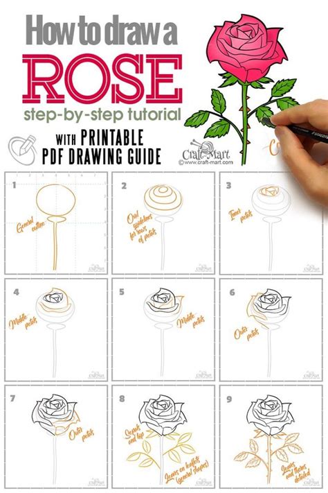 how to draw a rose step by step guide for beginners flower drawing flower drawing tutorials