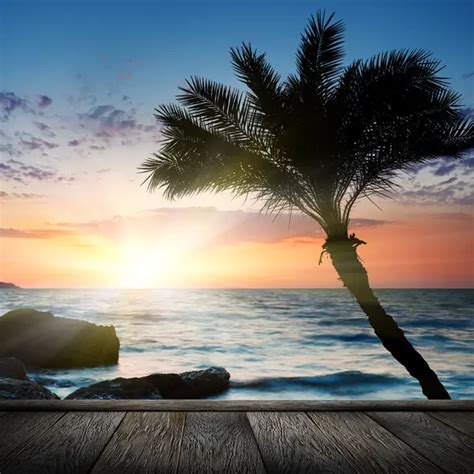 Beautiful Sunset At Tropical Beach — Stock Photo © Irochka 5139832