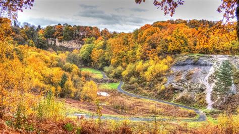 Saltwells In Dudley Officially Recognised As National Nature Reserve