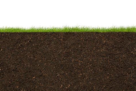 17100 Underground Soil Stock Photos Pictures And Royalty Free Images