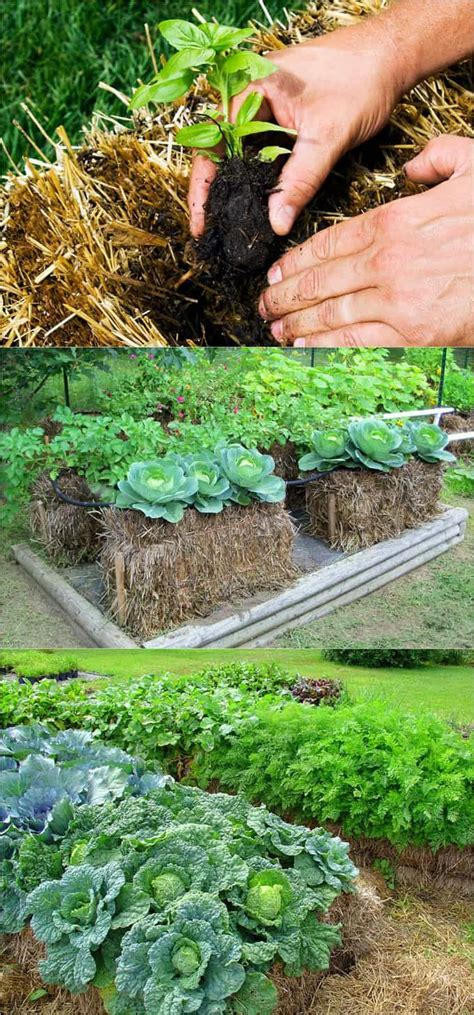 Here you will find the most beautiful. 28 Best DIY Raised Bed Garden Ideas & Designs | Raised ...