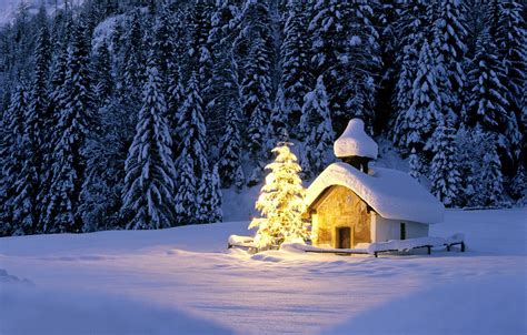 Wallpaper Winter Forest Light Snow Lights Ate Christmas Church