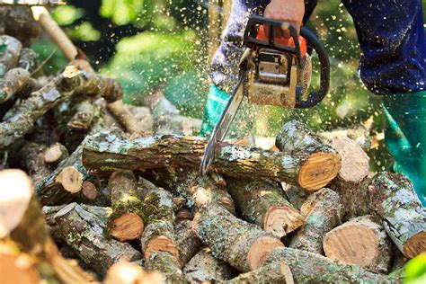 Man Cutting Firewood For Home With A Chainsaw Stock Image Colourbox