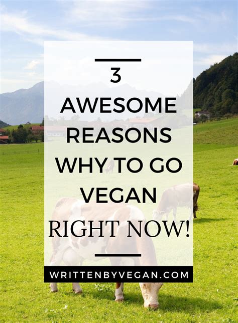 The 3 Main Reasons Why To Go Vegan Written By Vegan Going Vegan