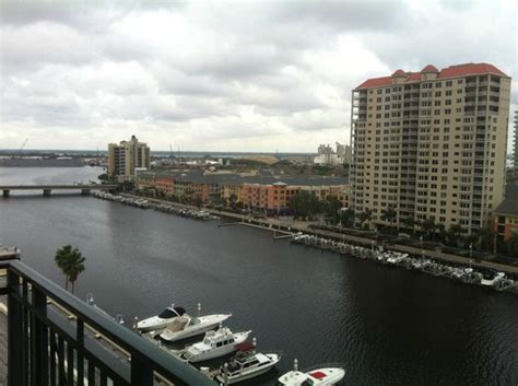 Daytime View Picture Of Tampa Marriott Waterside Hotel And Marina
