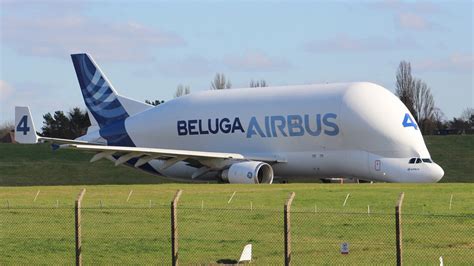 Airbus Beluga Xl Riesenflieger Steckt Seit Freitag Im Schlamm Fest