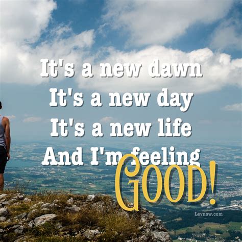 Its A New Dawn Its A New Day Its A New Life And Im Feeling Good