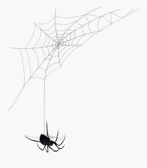 Black Widow Spider Web Free Transparent Clipart Clipartkey