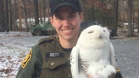 Pa Game Commission Game Warden Rescue Snowy Owl From State Prison