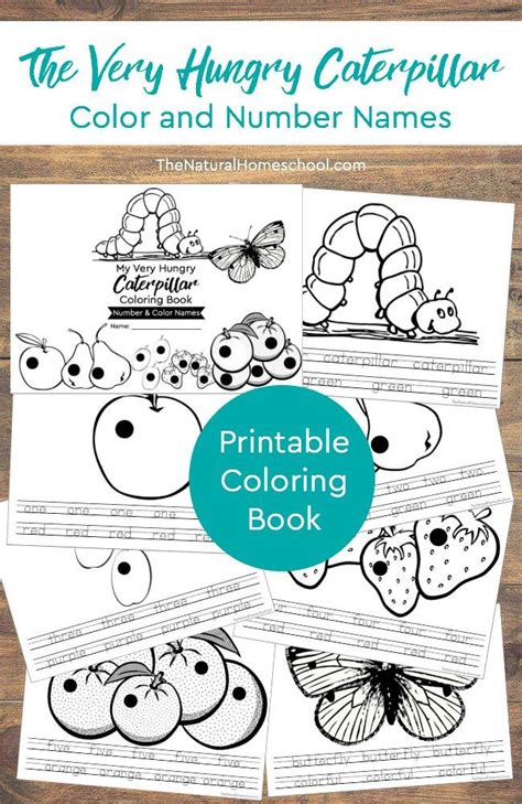 20 amazingly hungry caterpillar actions and homeschool printables. The Very Hungry Caterpillar Printable Book (Color and Number Names) | Very hungry caterpillar ...