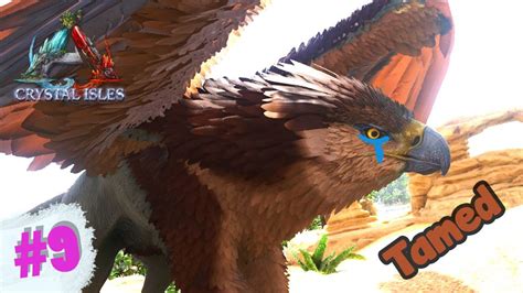 I Taming Griffin With Trap Crystal Isles Ark Survival Evolved