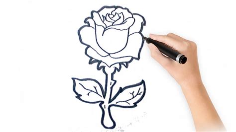 Como Dibujar Una Rosa Facil Paso A Paso