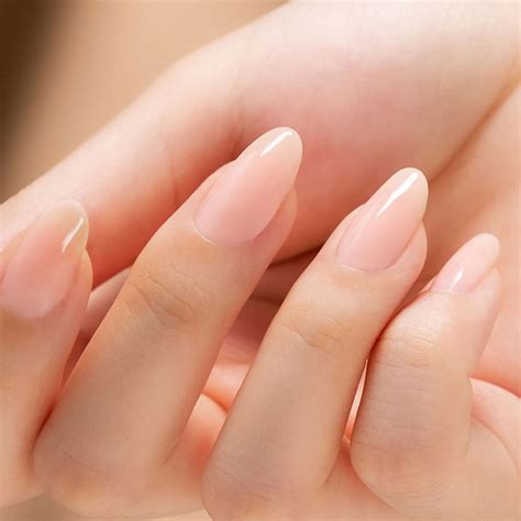 Sheer Nude Pink Vegan Nail Polish French Classic Manicure Etsy