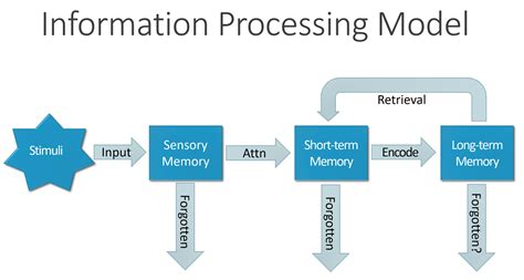 An Overview Of The Information Processing Model