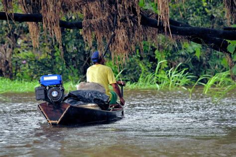 Amazon Rainforest Manaus Brazil Travel Guide Encircle Photos