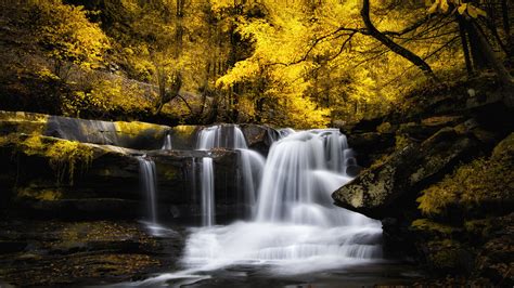 1920x1080 1920x1080 Forest Stream Autumn Waterfall River Cascade