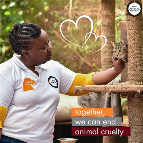 Together We Can Change The World For Animals 💛 World Animal