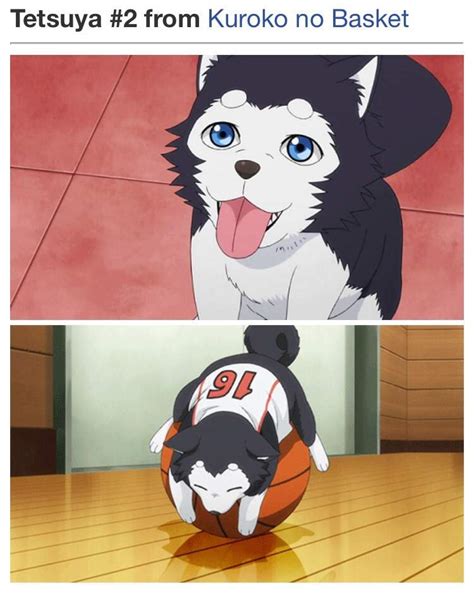 Top 20 Cute Anime Dogs Anime Amino